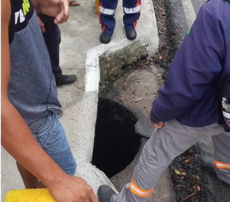 Foto: Pedro Braga Júnior/Portal do Holanda