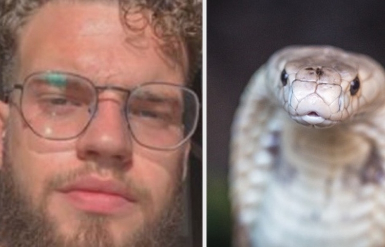 Foto: Reprodução Arquivo Pessoal/ Ivan Mattos/Zoológico de Brasília