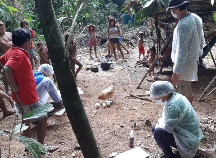 Foto: Dsei Yanomami/Sesai