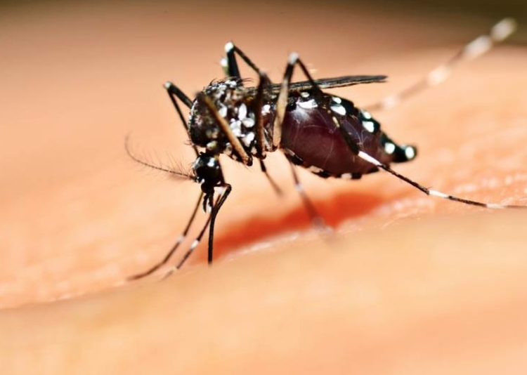 Foto: Agência Brasil 