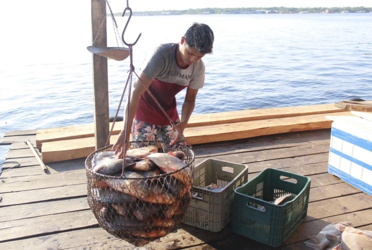 Foto: Emerson Martins/Sepror