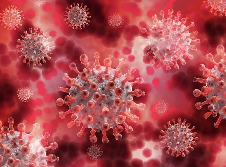 Imagem: Ilustrativa/Pixabay 