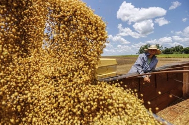 Exportação de óleo de soja e ouro deixa produtos do PIM para trás - Foto: Divulgação