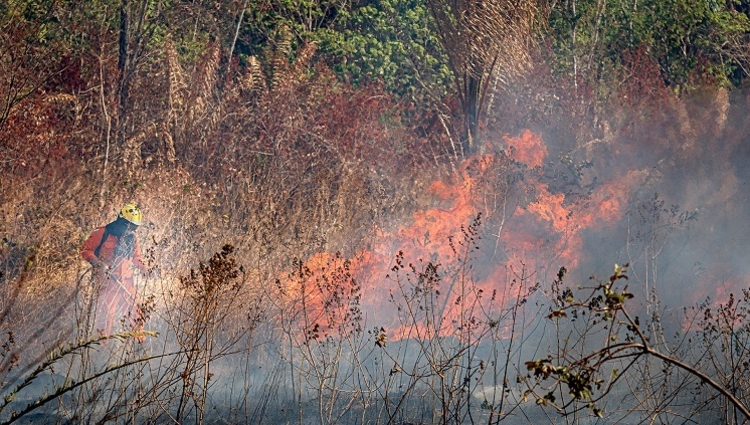 Inpa monitora poluição atmosférica em Roraima - Foto: Divulgação/NARR2