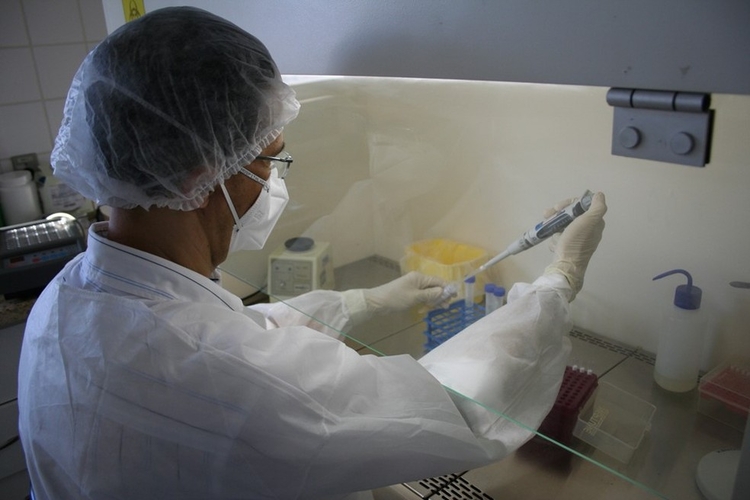 Foto: Divulgação/Sesa