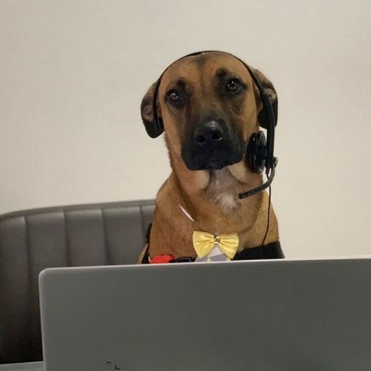 Foto: Reprodução /Instagram