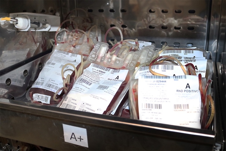 Novos equipamentos criam espaço para armazenar bolsas de sangue - Foto: Laís Pompeu/FCecon
