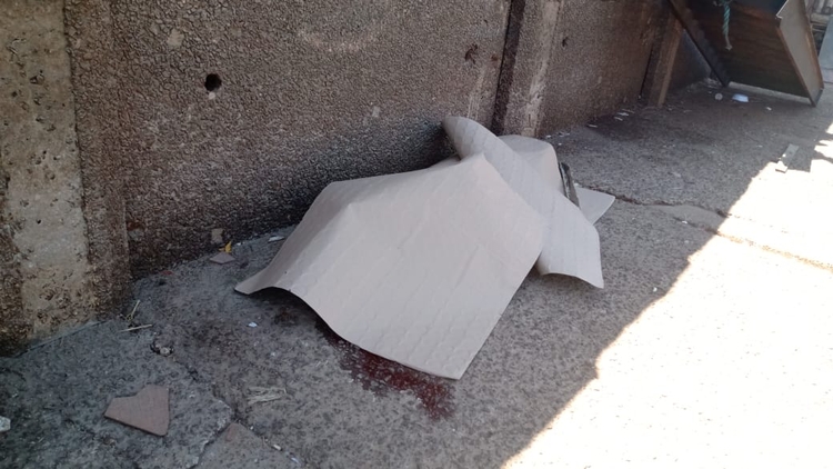 Foto: Jander Robsom/Portal do Holanda