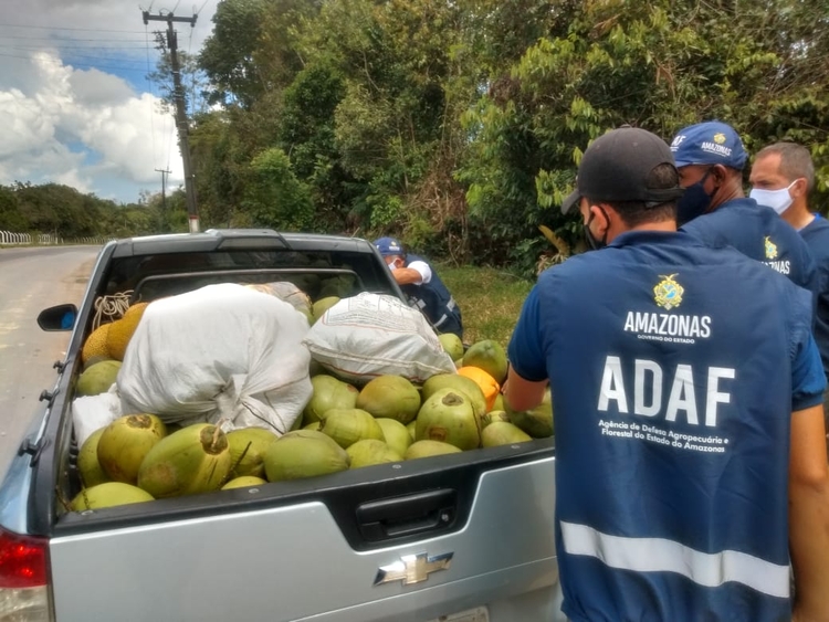 Transporte de vegetais sem documentos pode dar prejuízo - Foto: Divulgação/Adaf