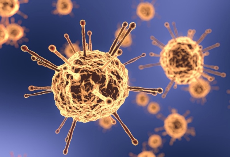 Número de recuperados da Covid-19 subiu para 102.686 no Amazonas Foto: Pixabay 