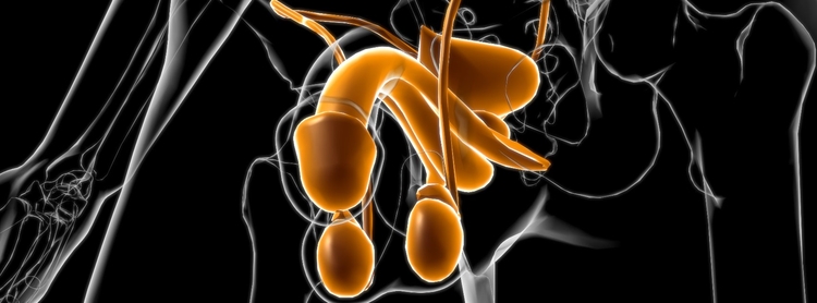 Foto: Reprodução/123RF myboxpra