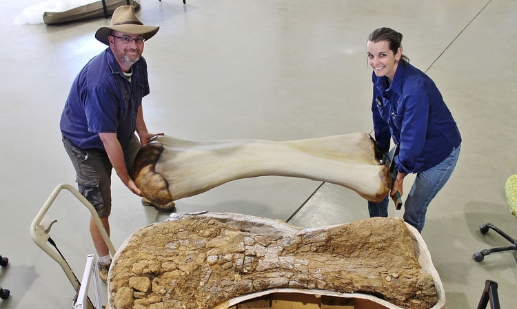 Foto:Reuters/Eromanga Natural History Museum/Direitos reservados