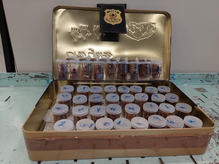 Foto: Reprodução/Ibama