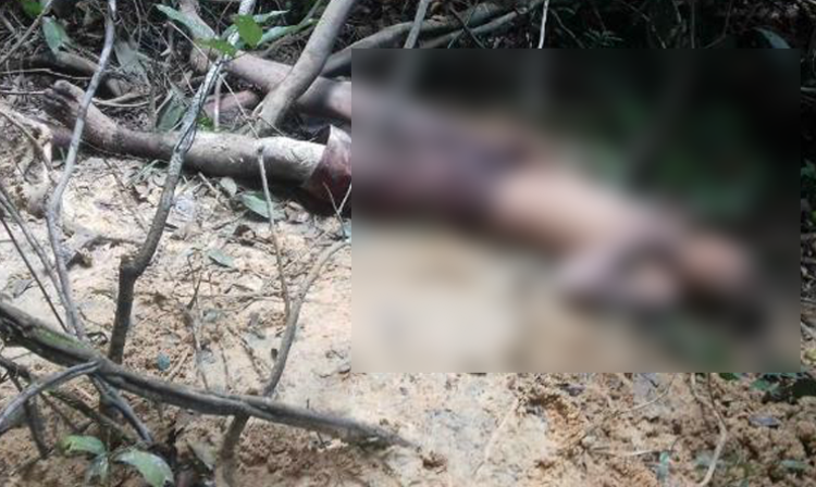 Foto: Divulgação/PM