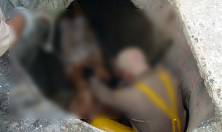 Foto: Divulgação/Bombeiros