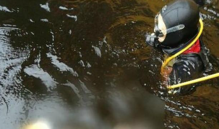 Foto: Divulgação/Bombeiros