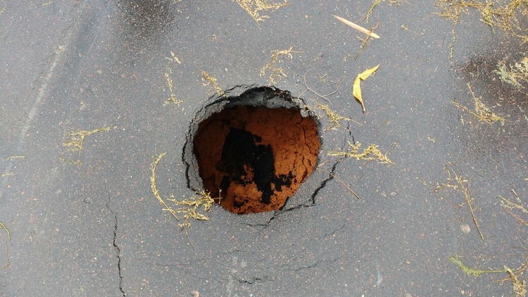 Foto: Pedro Braga Júnior/Portal do Holanda