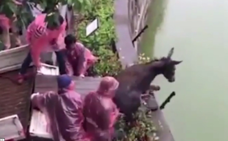 Foto: Reprodução/Youtube