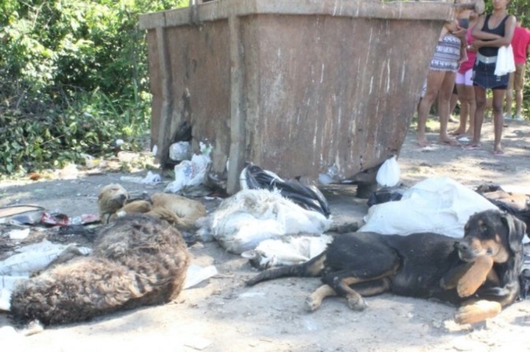 Foto: Pedro Braga Júnior/Portal do Holanda