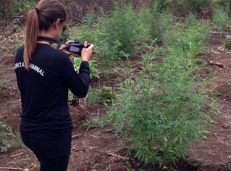 Foto: Sharon Marques / SSP-AM