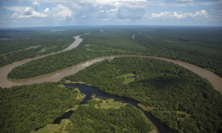 Vista aérea do rio Auati-Paraná, na Amazonia - Antônio Scorza / Agência O Globo