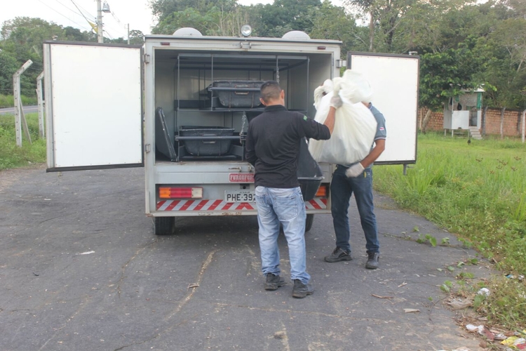 Foto: Portal do Holanda