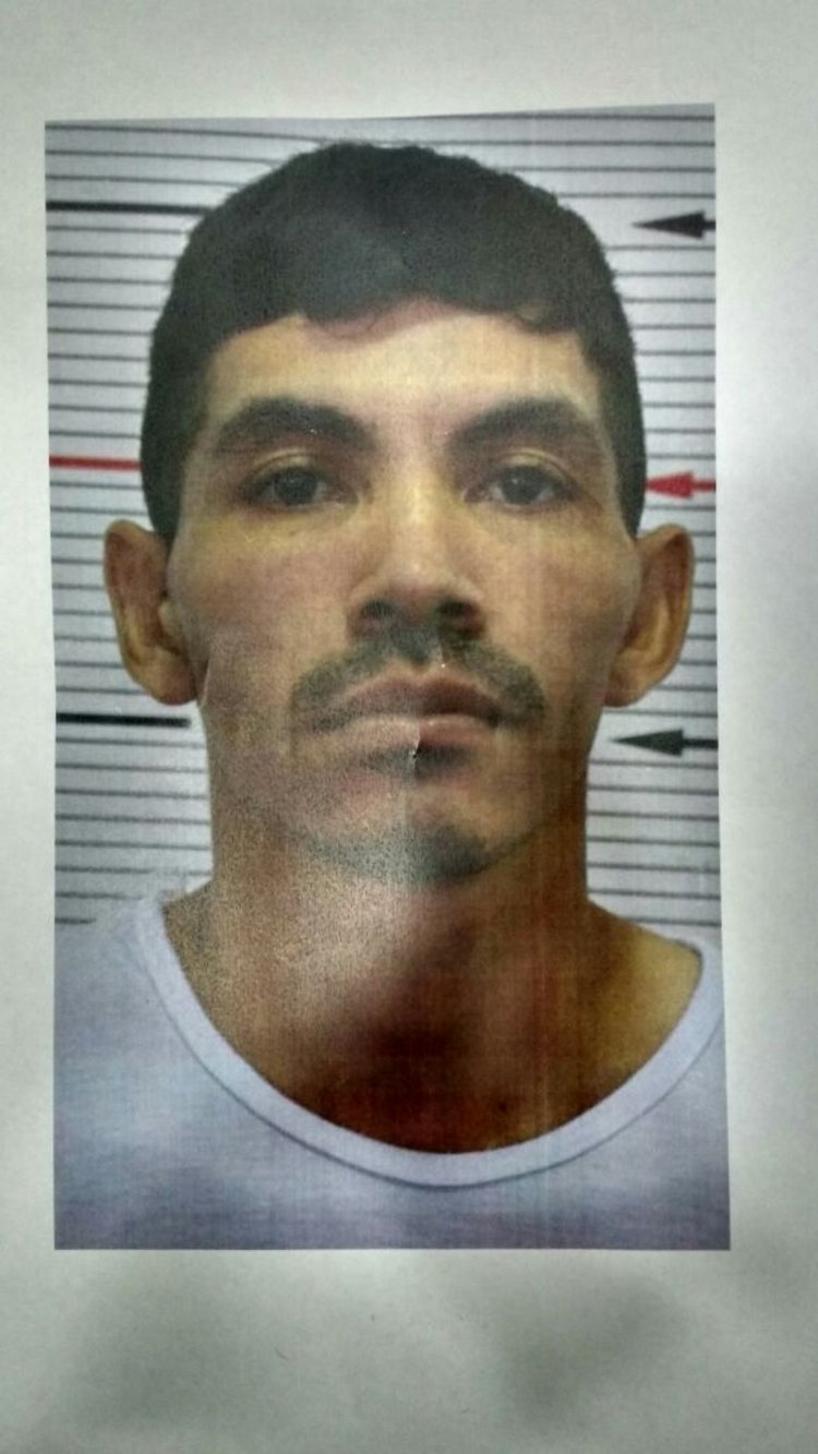 Foto: Pedro Braga Júnior/Portal do Holanda