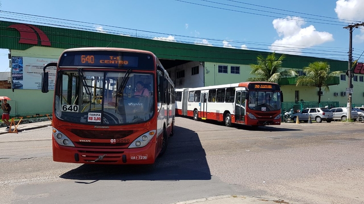 Foto: Portal do Holanda