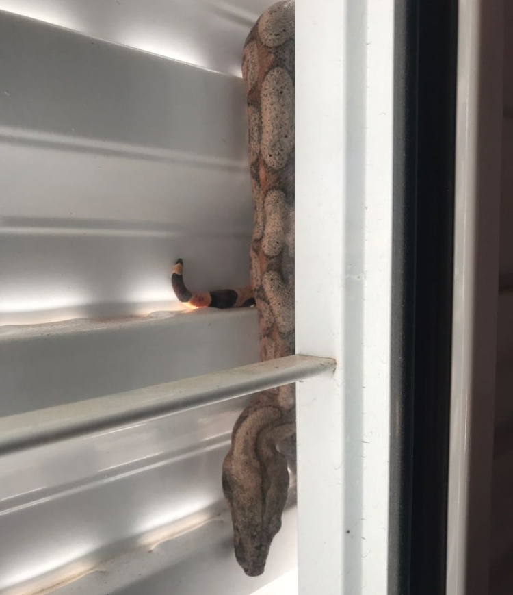 Foto: Reprodução/Arquivo Pessoal