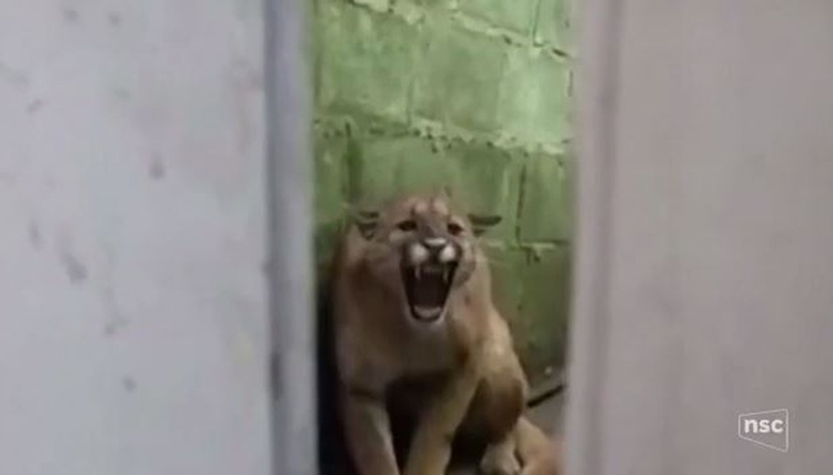 Foto: Reprodução/TV 