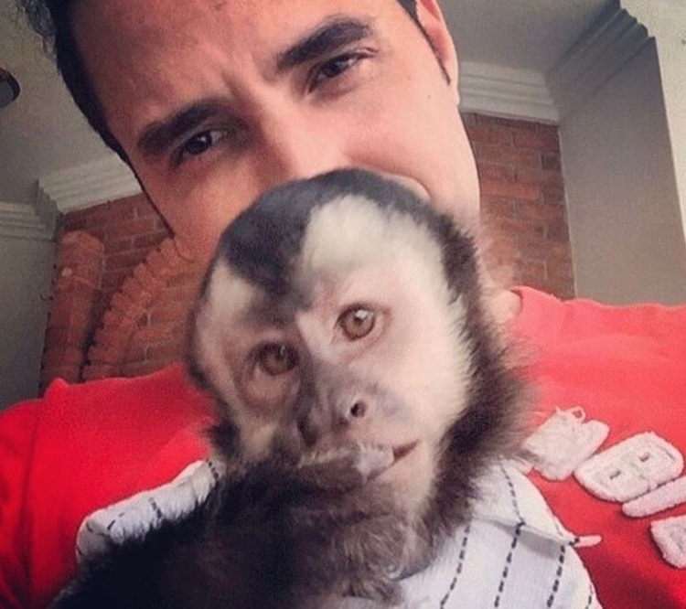 Foto: Reprodução/Instagram