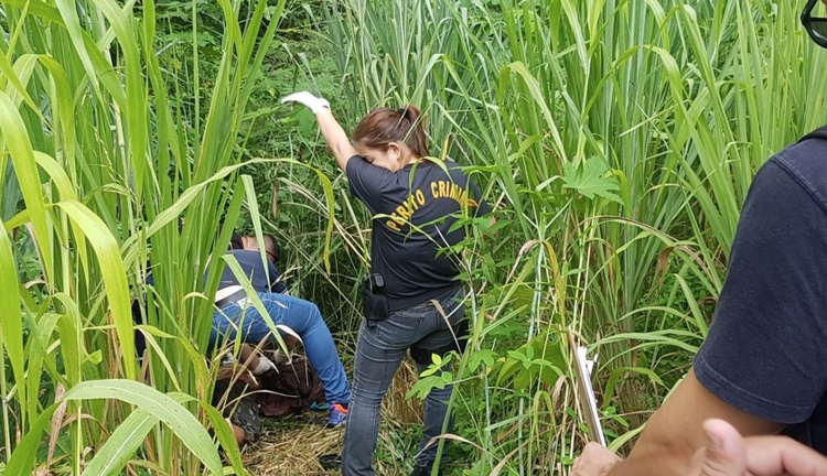 Foto: Ronaldo Siqueira / Portal do Holanda