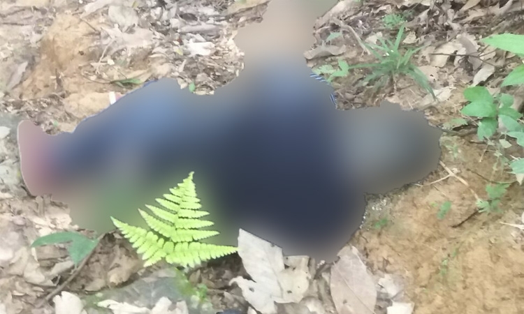 Foto: Pedro Braga Júnior/Portal do Holanda