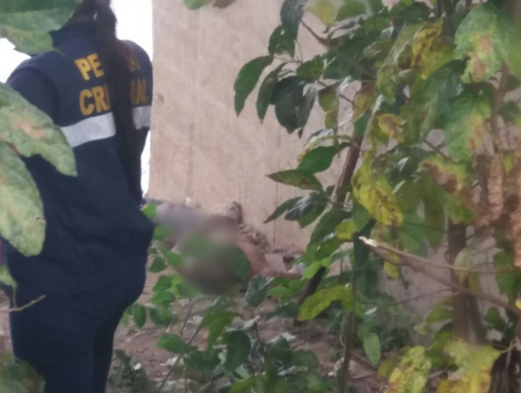 Foto: Portal do Holanda