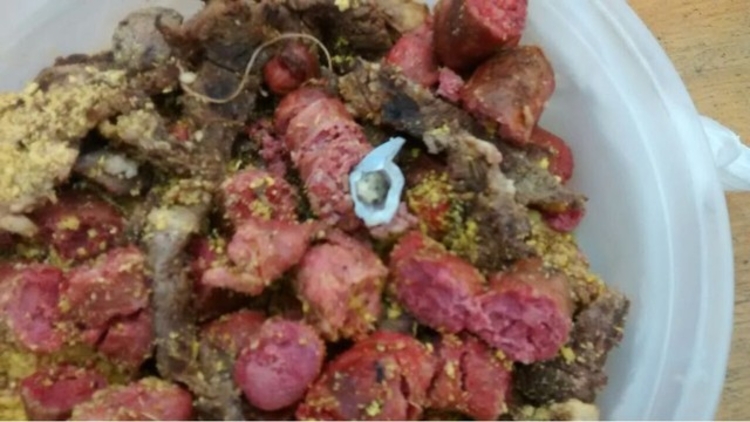 Foto: Polícia Militar