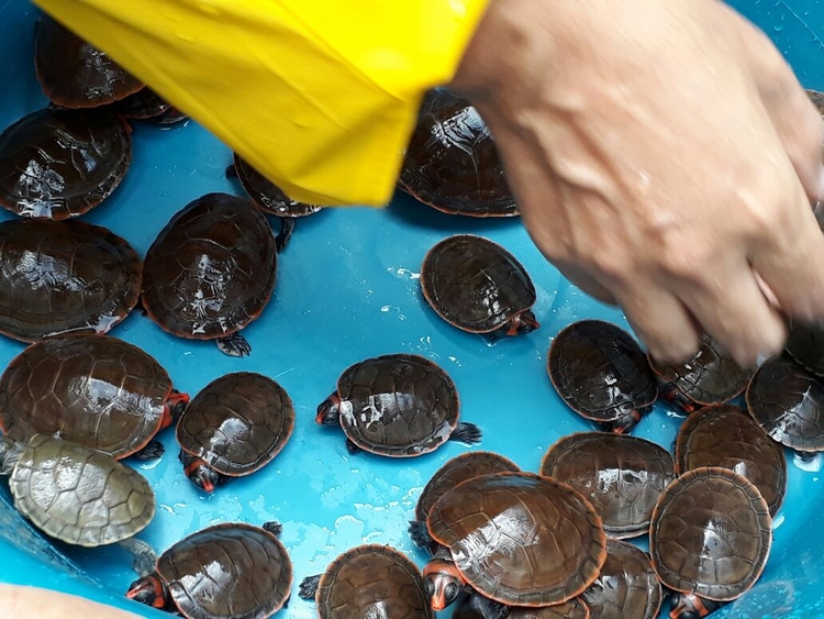 Foto: Divulgação / Secom
