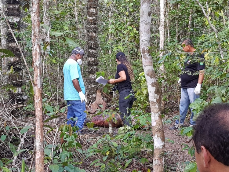 Foto: Pedro Braga Júnior