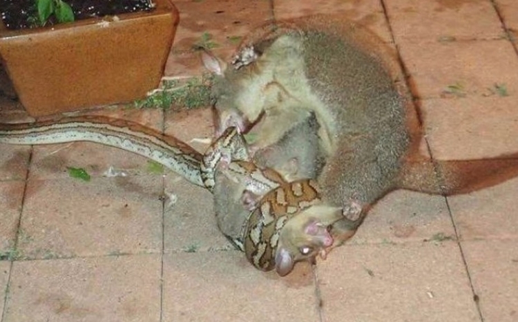 Foto: Reprodução Facebook