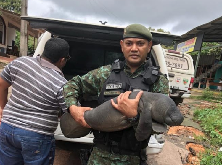 Foto: Divulgação/PM