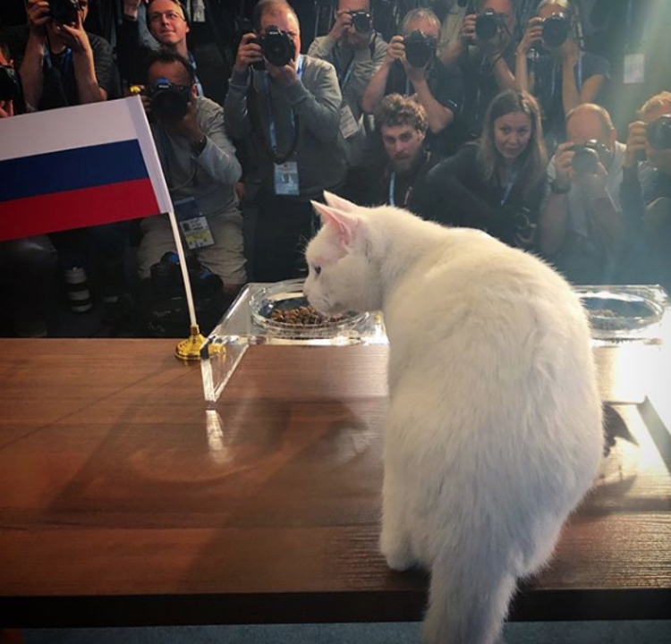 Foto: Reprodução/Instagram