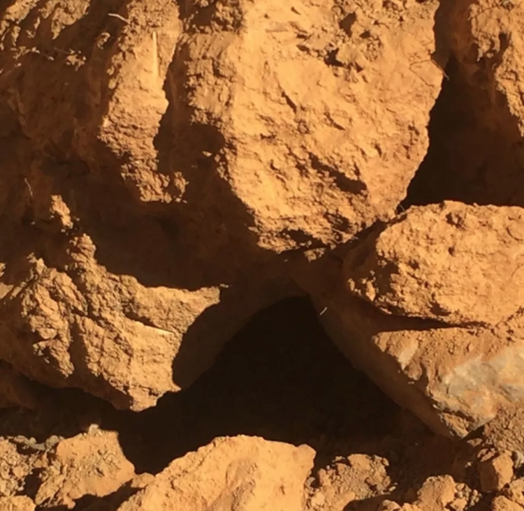 Foto: Divulgação/Polícia Civil