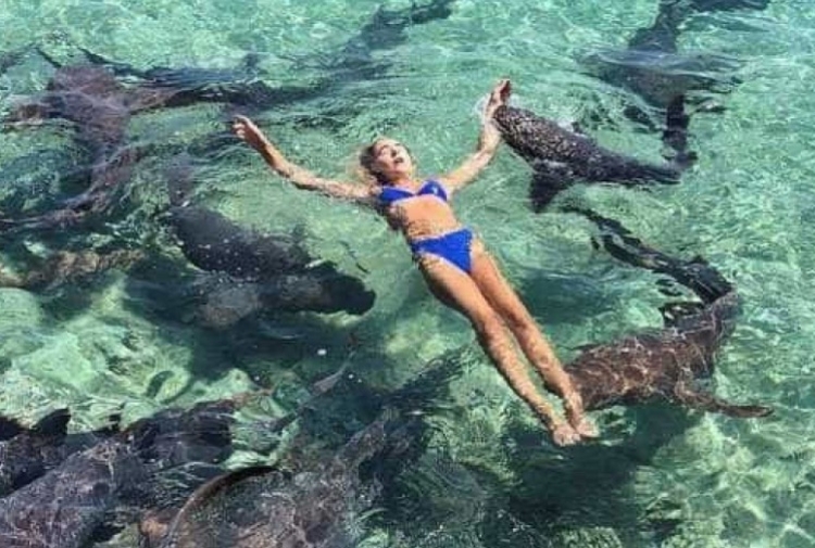 Foto: Reprodução Instagram