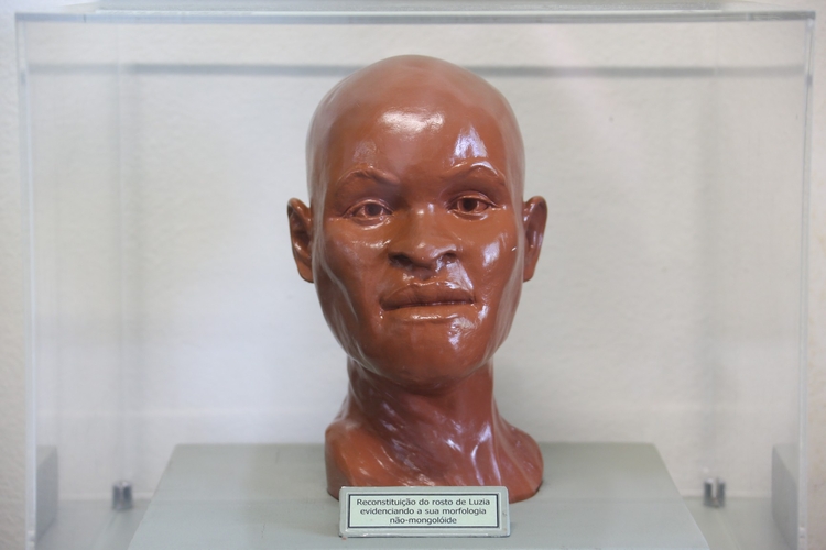 Foto: Reprodução USP