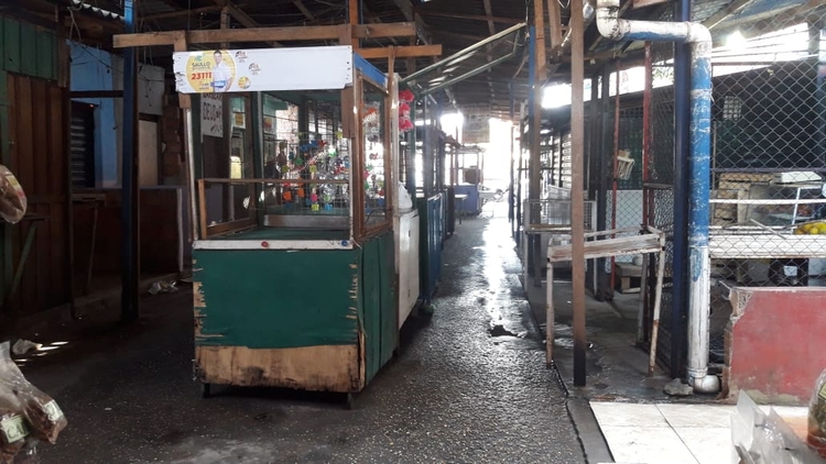 Foto: Josemar Antunes/Portal do Holanda