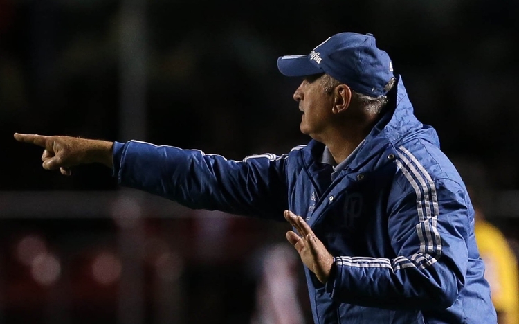 Foto: Cesar Greco/Ag Palmeiras/Divulgação