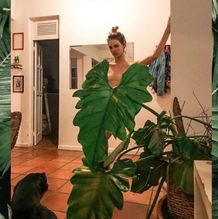 Foto: Reprodução/Instagram