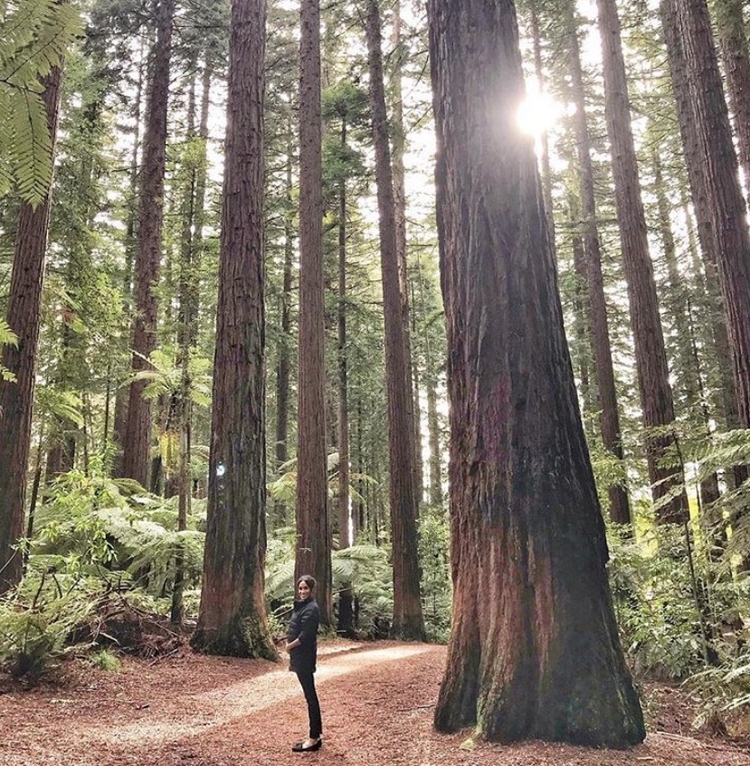 Foto: Reprodução Instagram