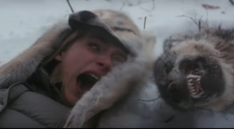 Um urso polar está em uma cena do filme urso polar.