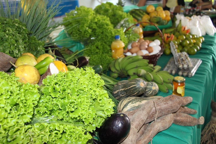 Foto: Divulgação / SECOM