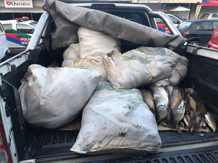 Foto: Divulgação / Polícia Civil